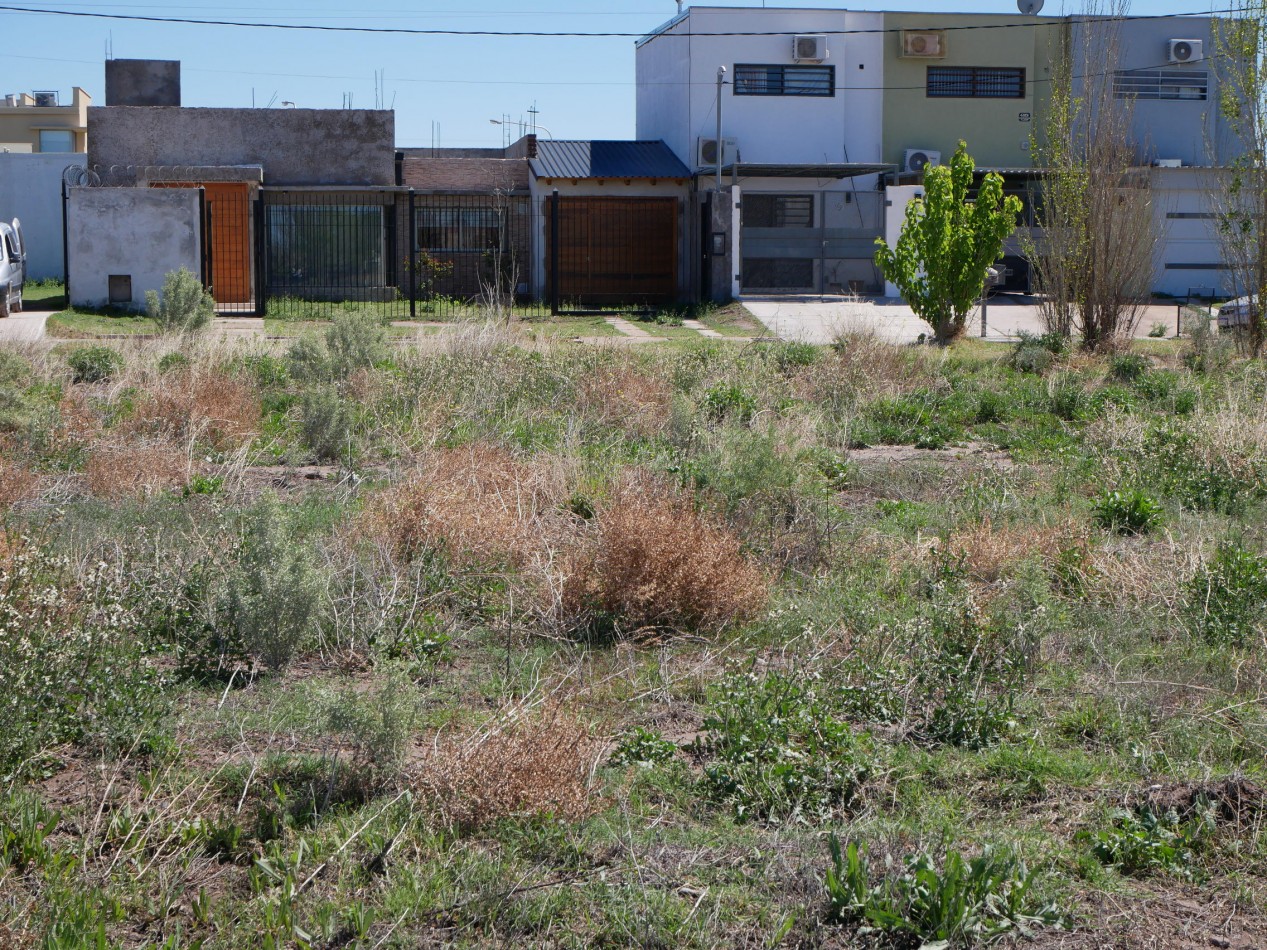 Lote Zona Avda del Trabajo.-