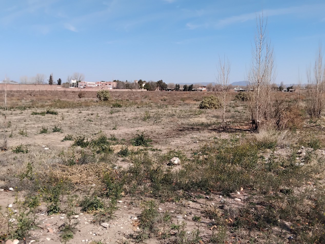 Lote Zona Avda del Trabajo.-