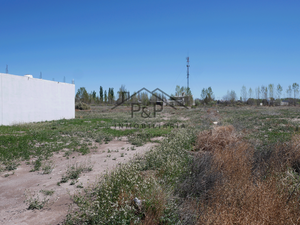 Lote 5000 m. 20 de Junio