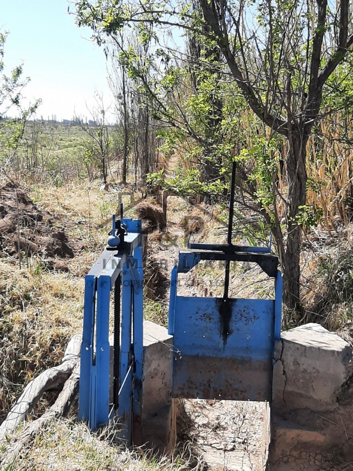 1,5 hect. en venta con Casa