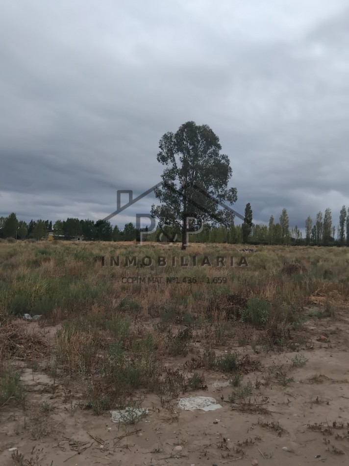 1,9 hect. San Rafael