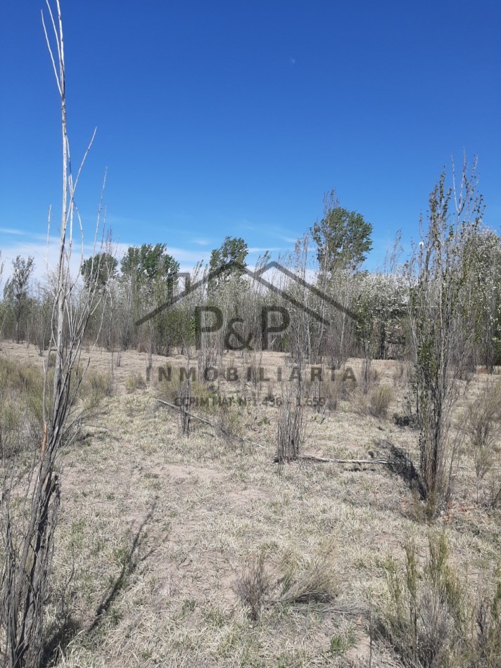 1,5 hect. en venta con Casa