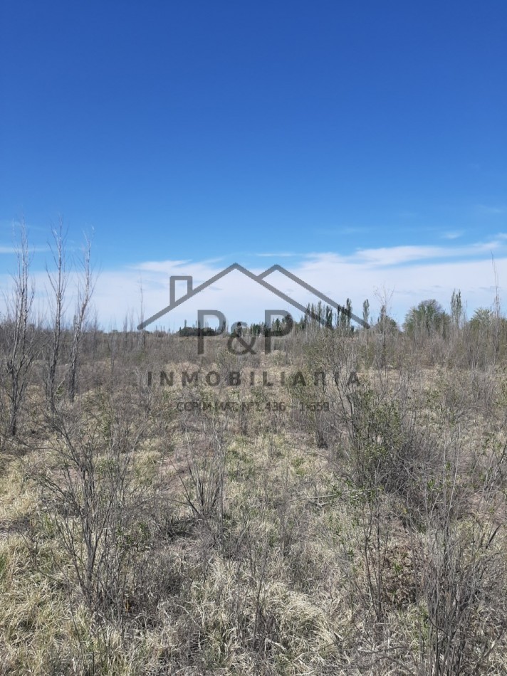 1,5 hect. en venta con Casa