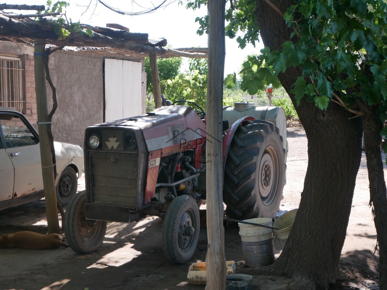 Finca 10 hect. Rama Caida