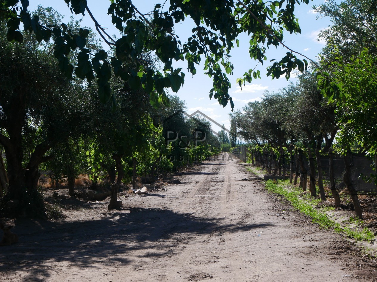 Finca 10 Hectareas 