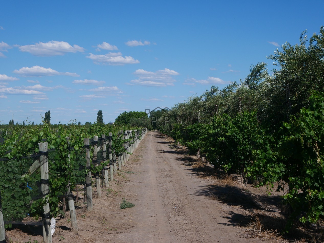 Finca 10 hect. Rama Caida