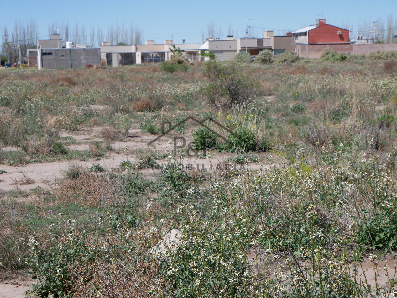 Lote 5000 m. 20 de Junio