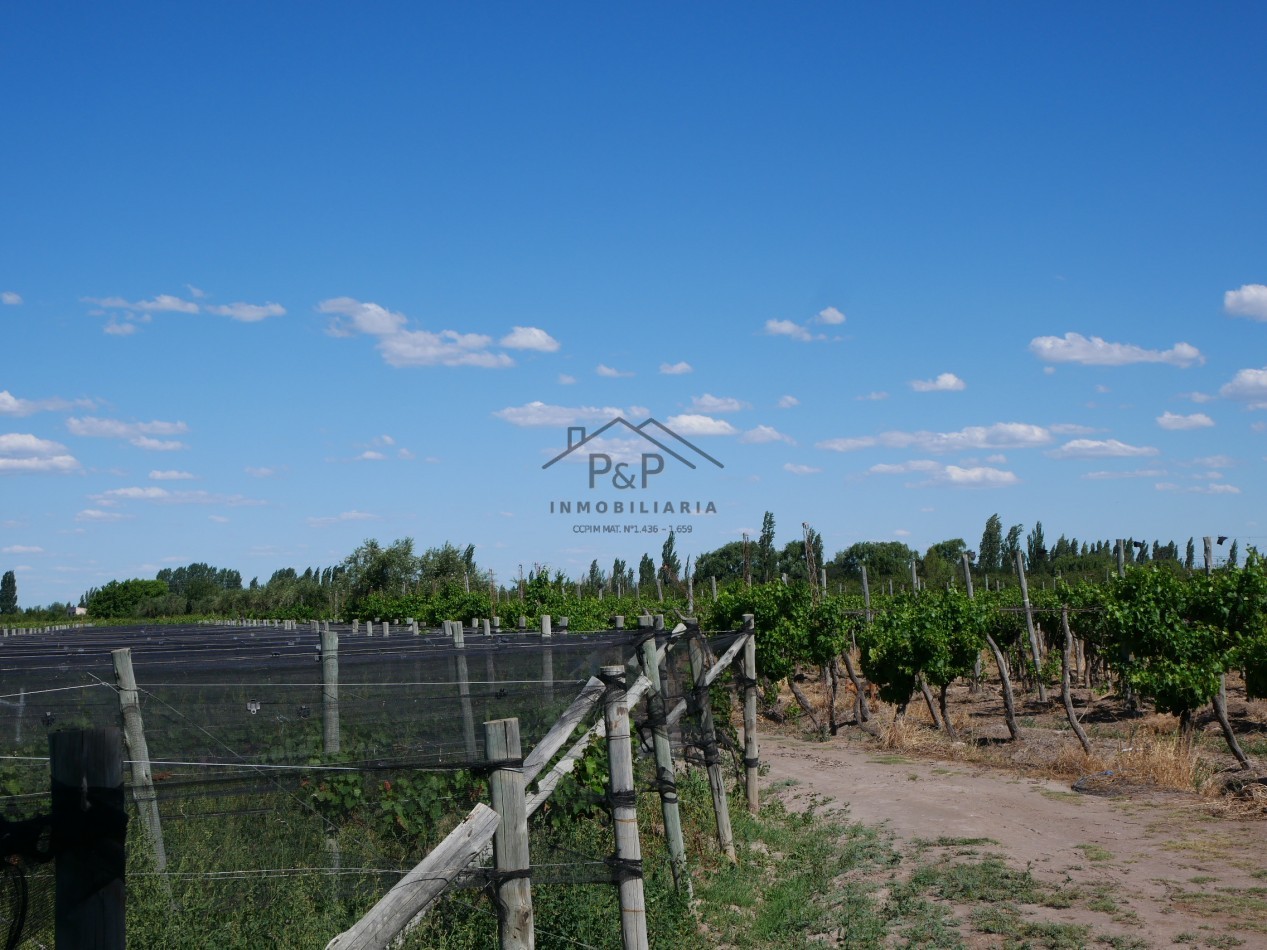 Finca 10 hect. Rama Caida