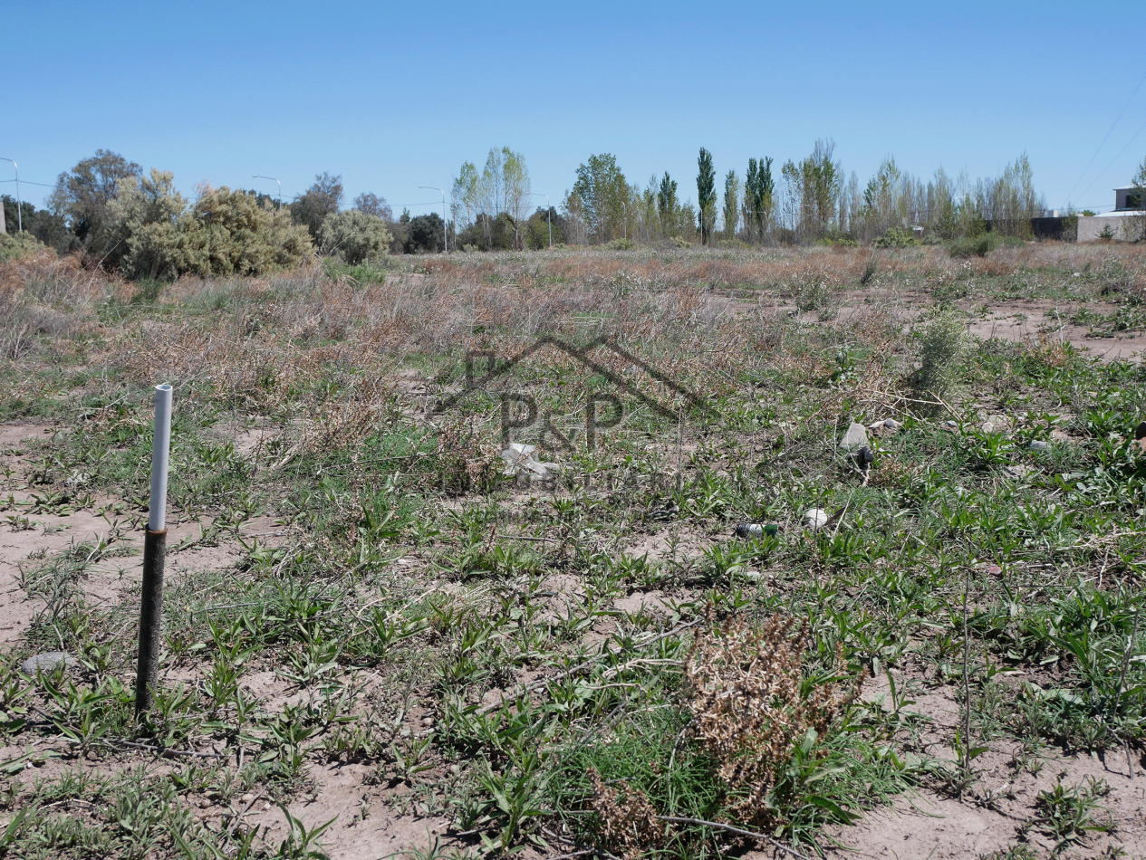 Lote 5000 m. 20 de Junio