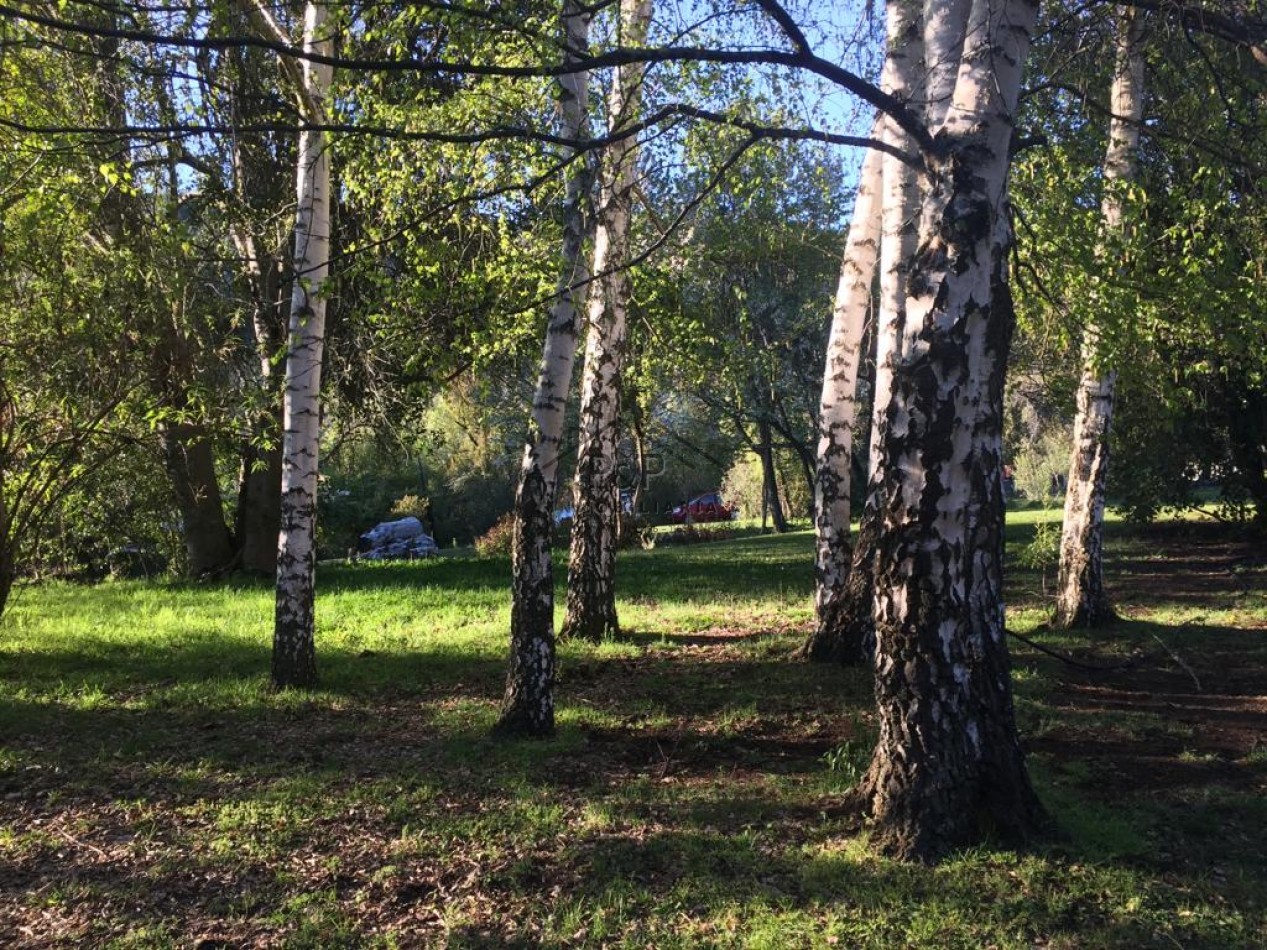 7,5 Hect. Ruta Nac N°40 - El Bolson - Rio negro 